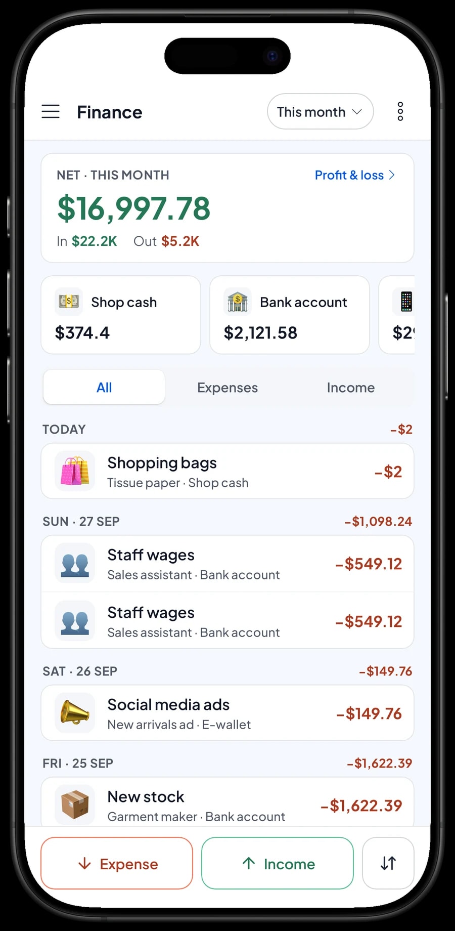 This month's expenses at Nara Boutique, from new stock to social media ads, with revenue, cost of goods and profit