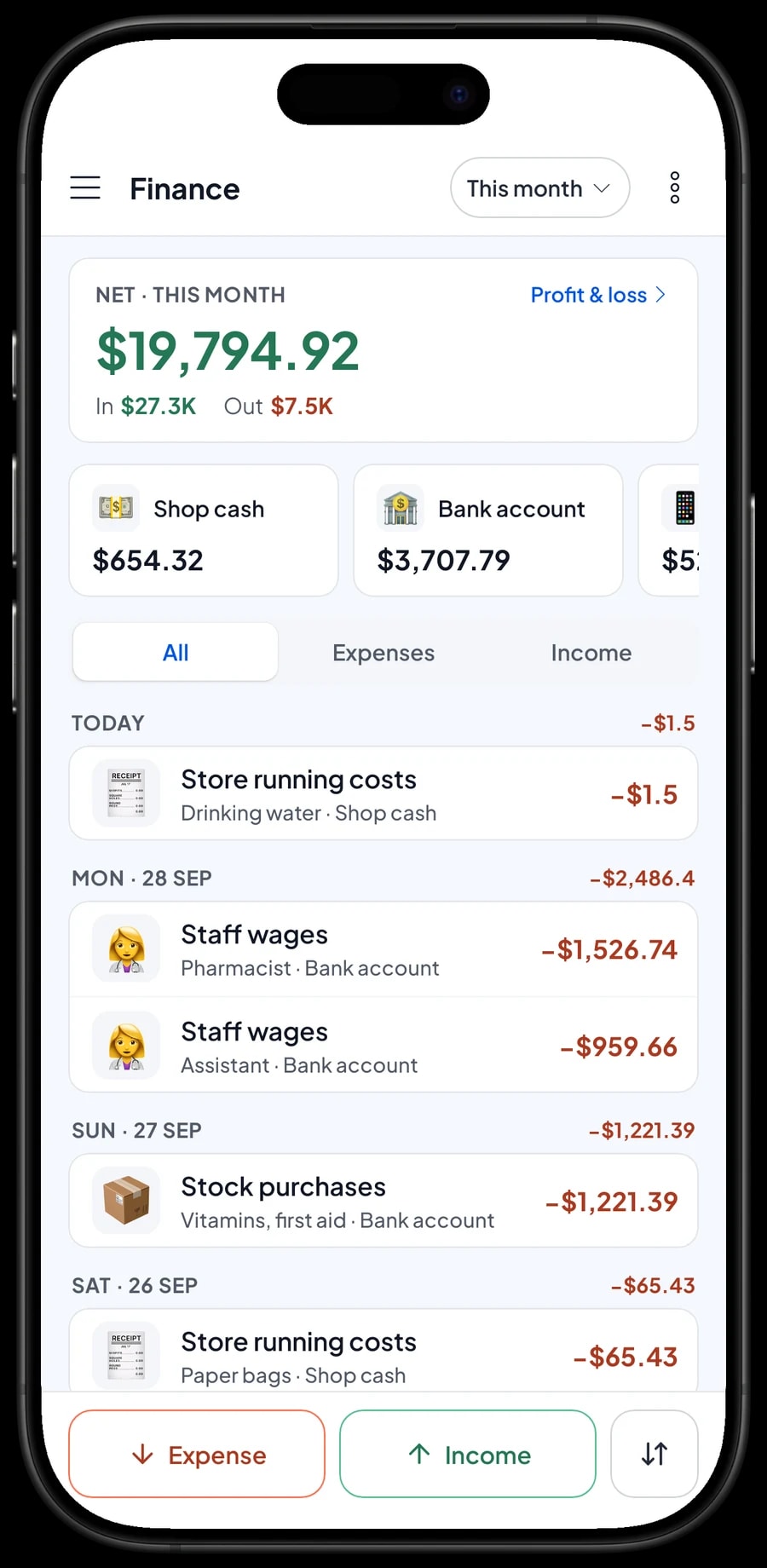 This month's expenses, from the distributor order and pharmacist wages to rent and internet, with profit