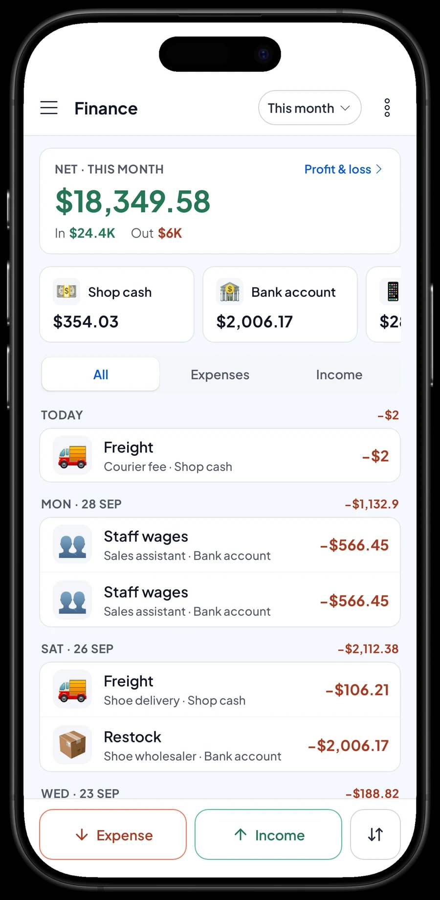 This month's expenses, from restocks and wages to rent, electricity and freight, with revenue, cost of goods and profit