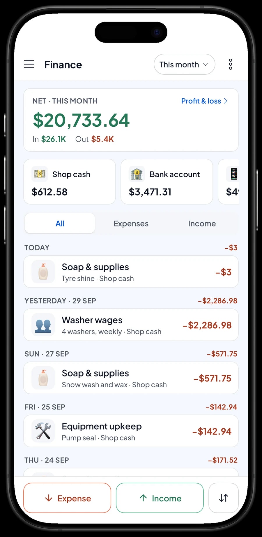 This month in Finance: revenue, operating costs and profit, with soap and supplies and washer wages