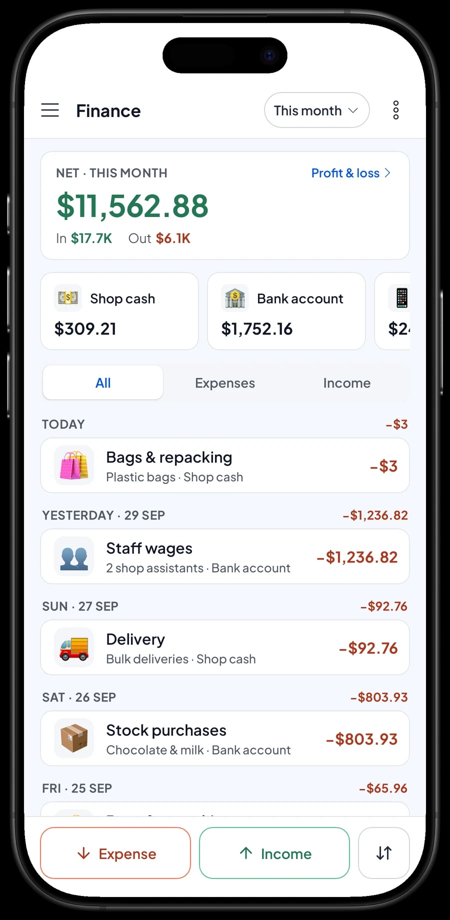 This month's expenses, such as stock purchases, staff wages and rent, next to revenue, cost of goods and profit