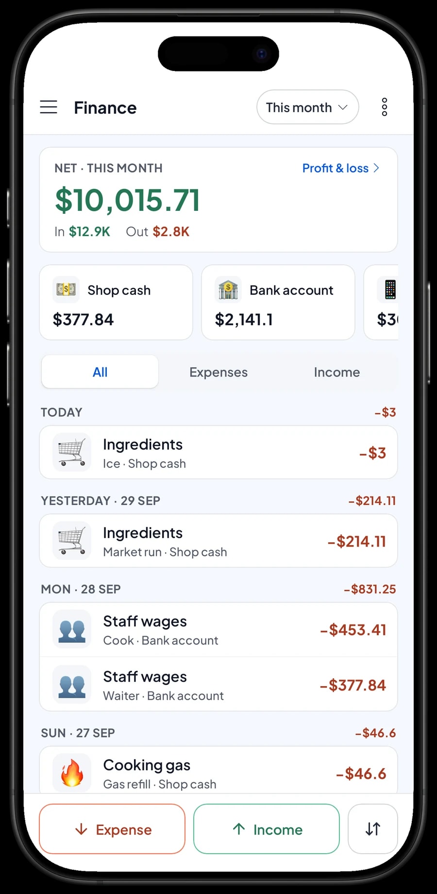 This month’s expenses and profit: revenue, cost of goods from recipes, operating costs and net profit