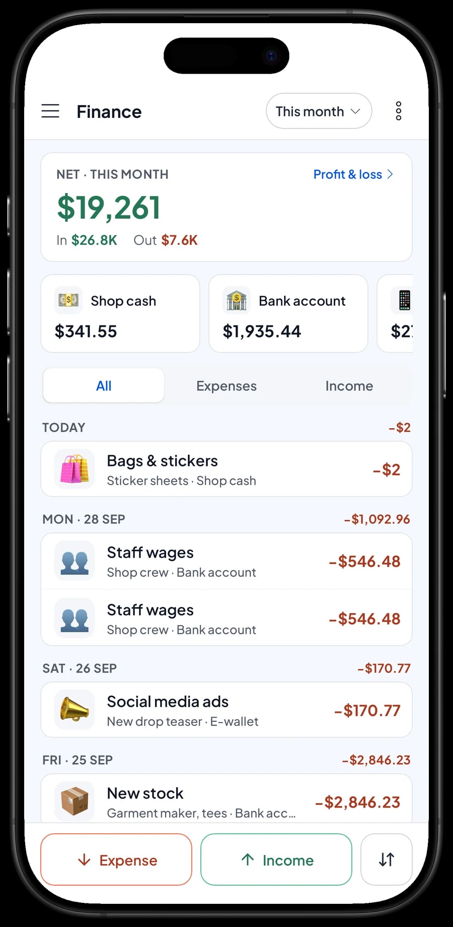 This month's expenses, from new stock and staff wages to rent and social media ads, with revenue, cost of goods and profit