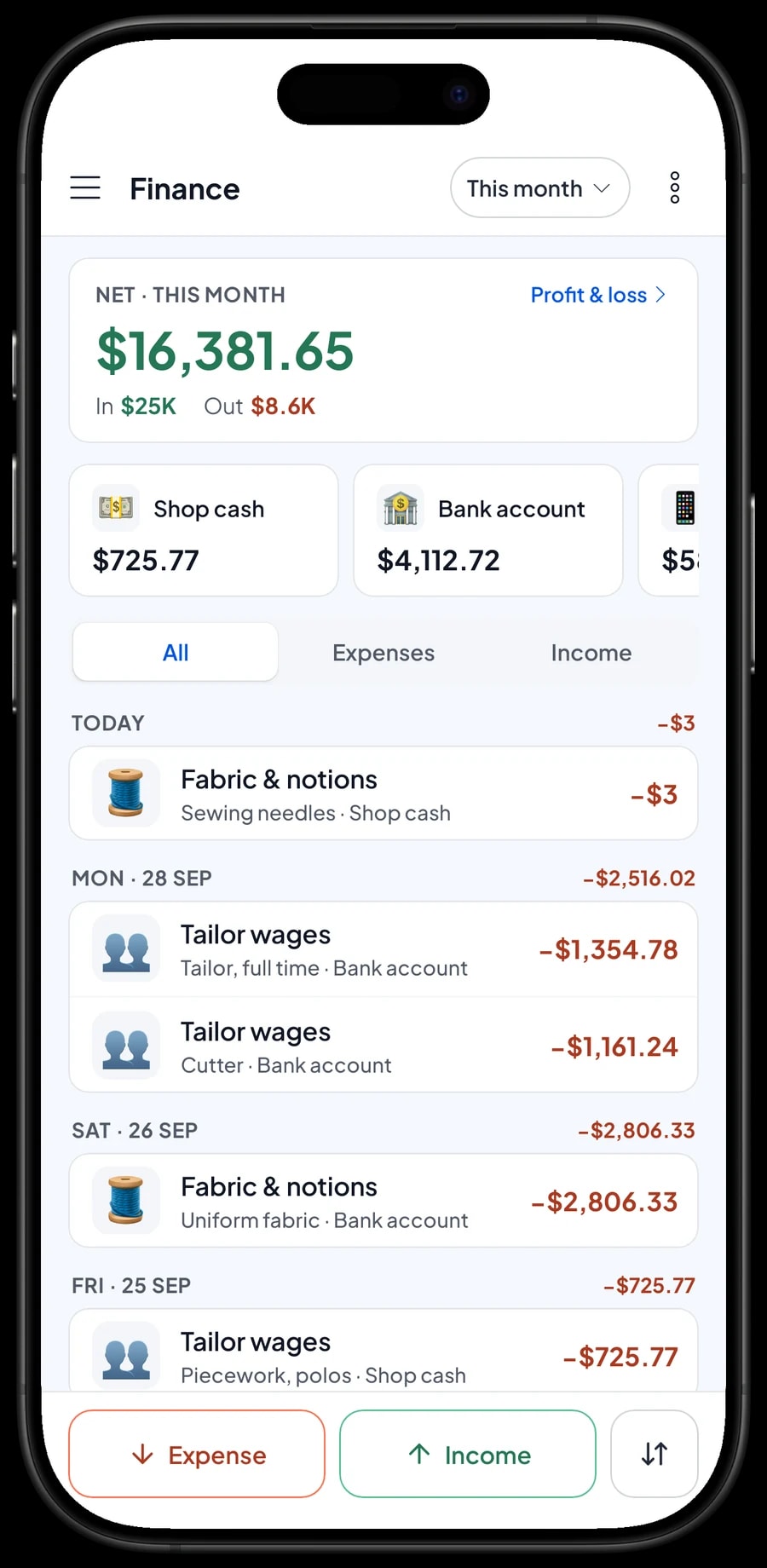 This month's expenses: fabric, tailor wages, rent, electricity and machine service, with net profit