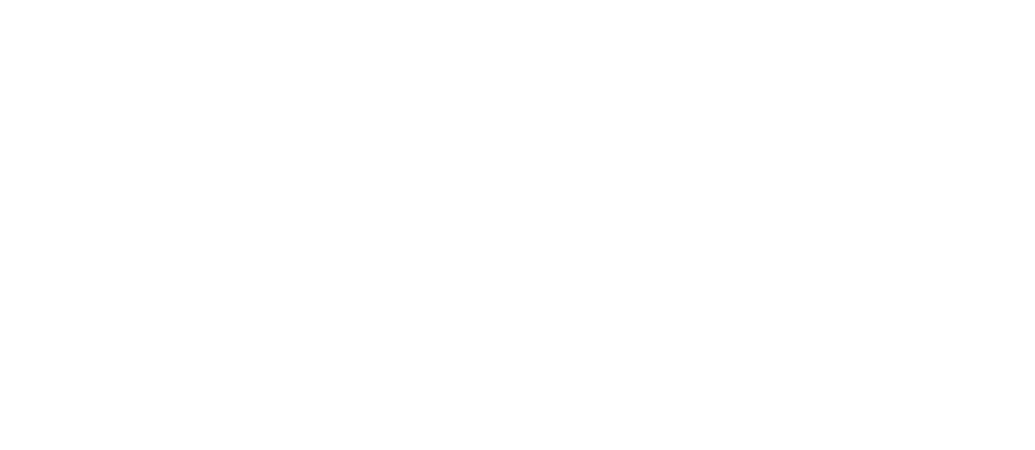 Sales Master Logo